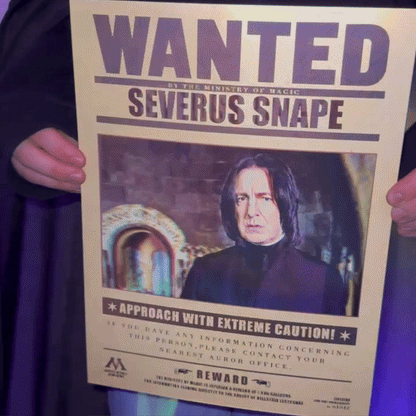 Wizarding Art