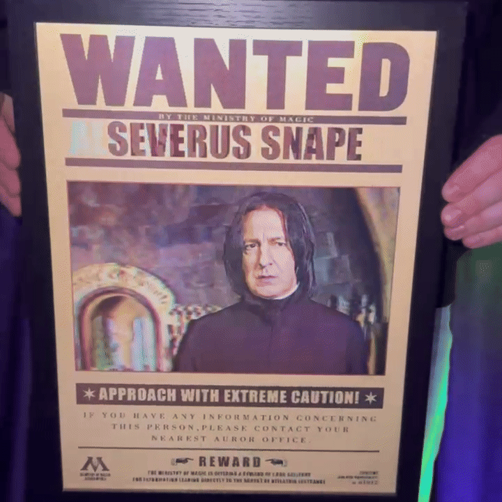 Wizarding Art